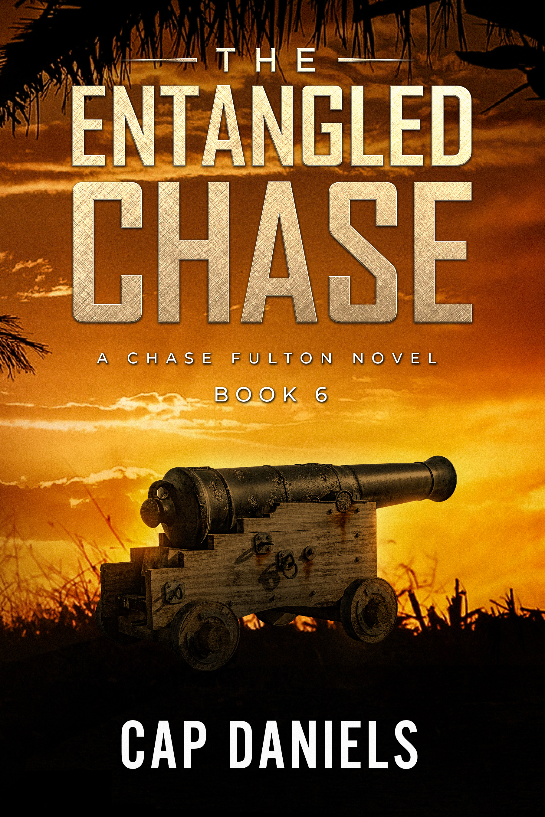 the_entangled_chase_book_6